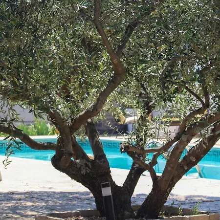 Croissant De Lune Bagard