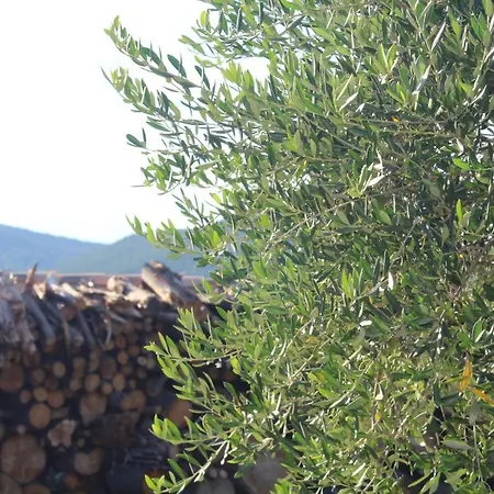 Croissant De Lune 4* Bagard