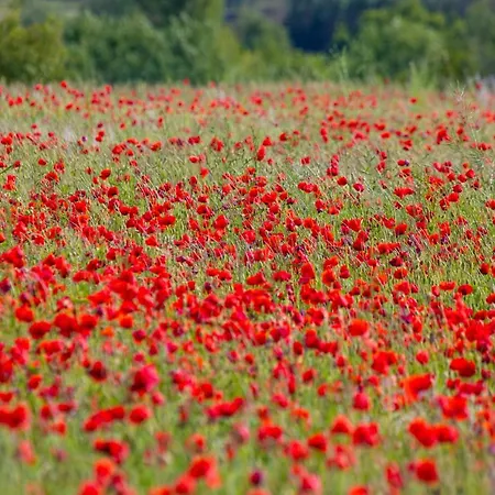 Croissant De Lune Couette-café 4*