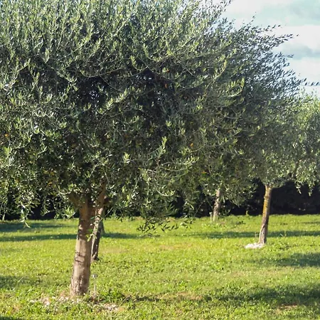 Croissant De Lune Couette-café 4*