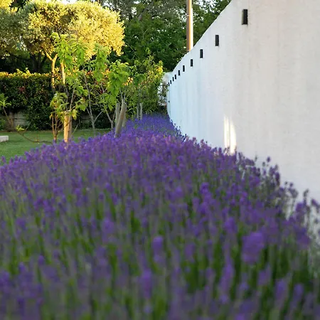 Croissant De Lune 4*