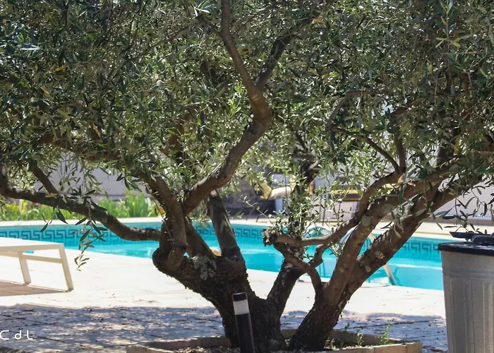 Croissant De Lune Bagard