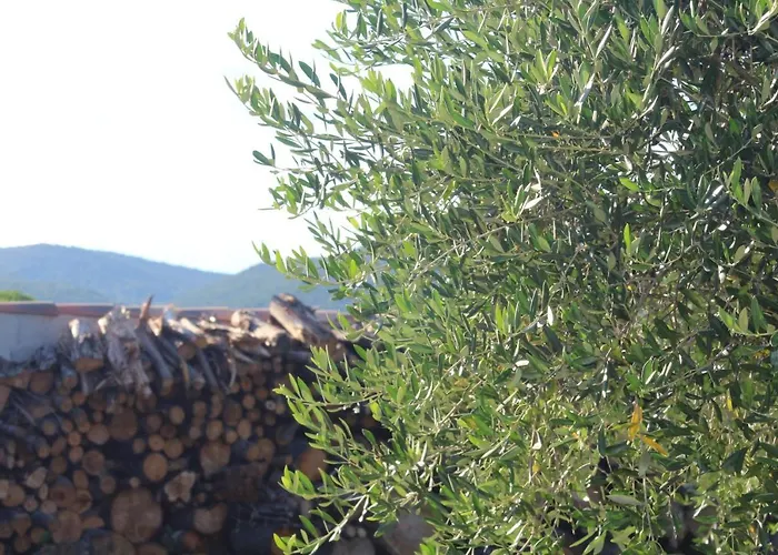 Croissant De Lune 4* Bagard