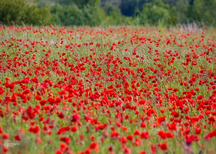 Croissant De Lune Bed & Breakfast 4*