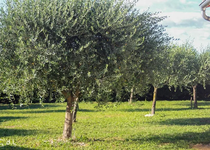 Croissant De Lune Bed & Breakfast 4*