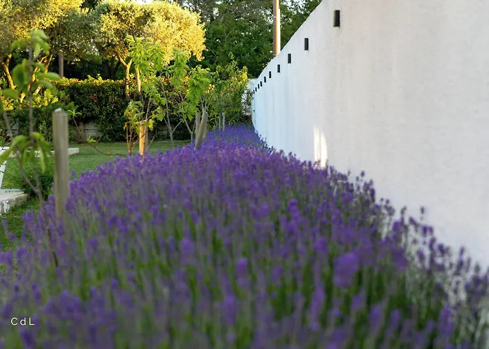 Croissant De Lune 4*